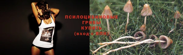 гашишное масло Алзамай