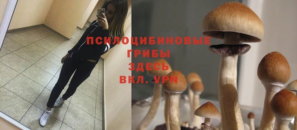 винт Алексеевка
