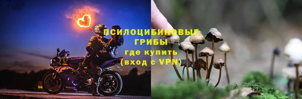 винт Алексеевка